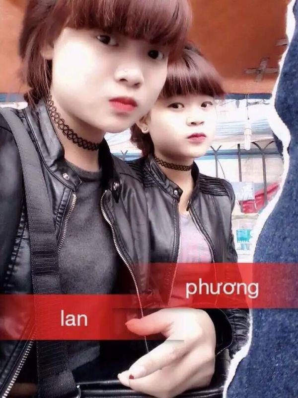 云南曲靖越南玫瑰 第2张